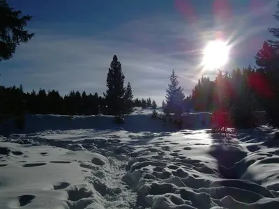 a snow covered field with the sun in the sky at Almida in Castello di Fiemme