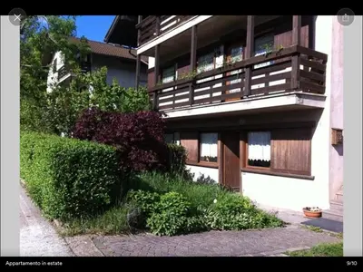a building with windows and bushes in front of it at Almida in Castello di Fiemme