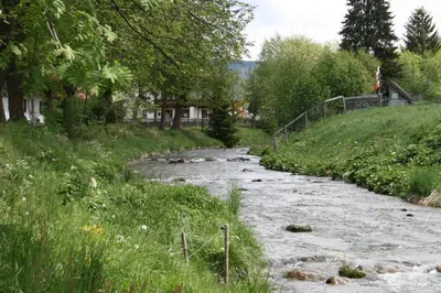 a stream of water with grass and trees at Apperlehof in Villabassa