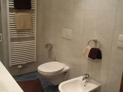 a bathroom with a white toilet and a sink at Apperlehof in Villabassa