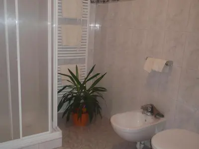 a bathroom with a sink and a toilet and a plant at Apperlehof in Villabassa