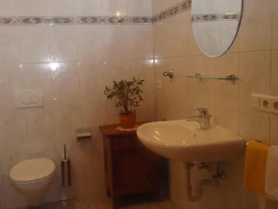 a bathroom with a sink and a toilet and a mirror at Apperlehof in Villabassa
