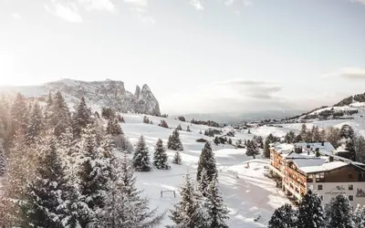 a ski resort with snow covered trees and buildings at Hotel Steger-Dellai in Alpe di Siusi