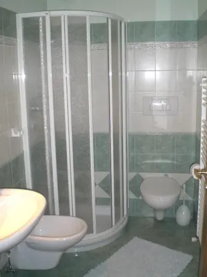 a bathroom with a shower and a sink and a toilet at San Cristoforo in Canazei