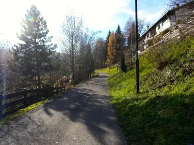 a winding road with trees on the side of a hill at Appartamento Bellavista in Cavalese