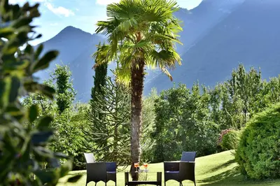 a palm tree with two chairs and a table at Hotel Torgglhof in Caldaro