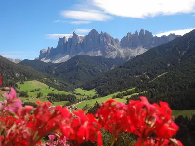 a view of a mountain range with red flowers at Ritzhof in Funes