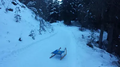 a blue bench sitting in the snow in the woods at Pension Schönblick in Campo di Trens