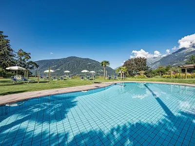 a large swimming pool with mountains in the background at Hotel Traubenheim in Tirolo