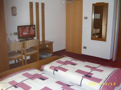 a bedroom with a bed and a television in it at Hotel Elisabeth in Merano