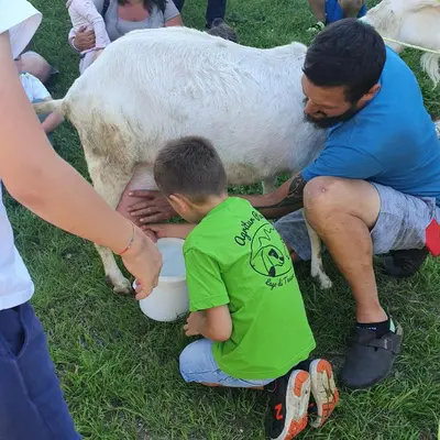 a young boy is sitting next to a cow at Agritur Maso Piasina in Tesero