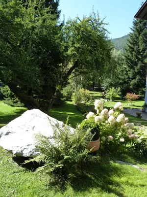 a garden with a rock and plants in the grass at Appartements Margit in Vipiteno