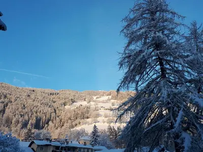 a snow covered tree in front of a mountain at Appartements Margit in Vipiteno