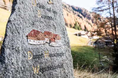 a tree with a sticker on the side of it at Duner Heuschupfe in Fundres