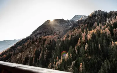 a view of a mountain with trees on it at Duner Heuschupfe in Fundres