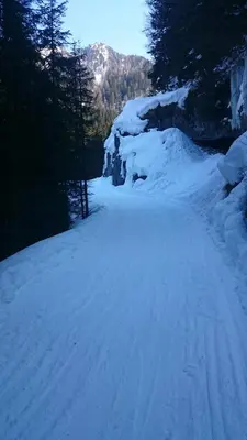 a road covered in snow with trees on it at Rododendro Apartment in Passo San Pellegrino