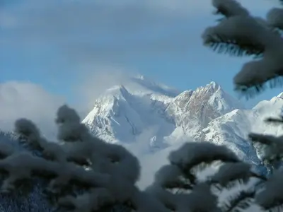 a view of a snow covered mountain through a tree at Hotel Ca' del Bosco in Selva di Cadore