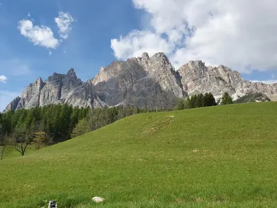 a green field with a mountain in the background at Daniela Apartment in Cortina dʼAmpezzo