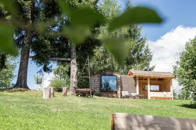 a small cabin in a field with trees at Chalet Hafling Leckplått in Avelengo