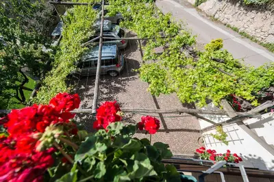 an overhead view of a garden with red flowers at Weishof in Termeno