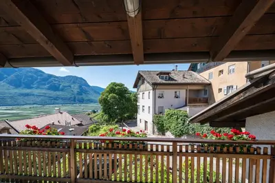 a view from the balcony of a building with flowers at Weishof in Termeno