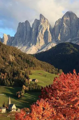 a mountain range with trees and a house in the foreground at Mes Lastei in Campitello di Fassa
