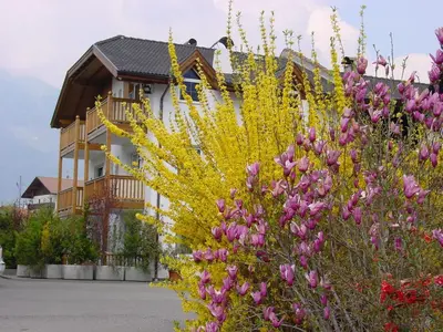a house with pink and yellow flowers in front of it at Pension Appartment Hecherhof in Merano