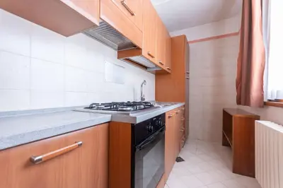 a small kitchen with a stove and a sink at Casa Mulaz in Falcade