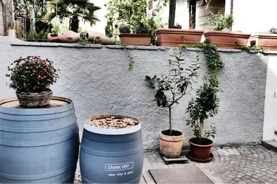 a group of potted plants in barrels next to a wall at Chalet 1897 in Caldaro