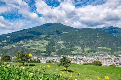 a green field with flowers and mountains in the background at Turnerhof in Bressanone