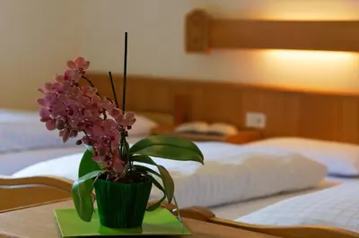a green pot with flowers on a table in a bedroom at Hotel Genziana in Arabba