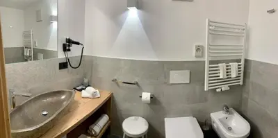 a bathroom with a sink and a toilet at Hotel Genziana in Arabba