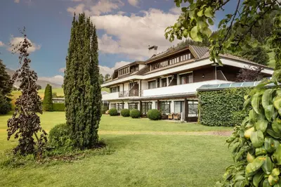 a large house with a tree in the yard at B&B Villa Pattis in Vipiteno