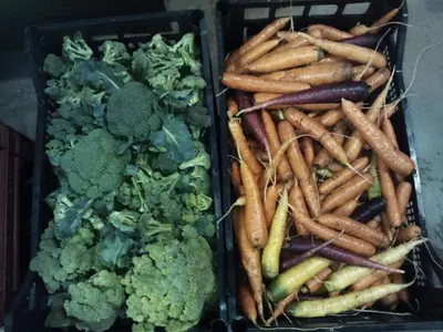 two baskets filled with carrots and broccoli and cauliflower at Winklerhof Apartments in Brunico