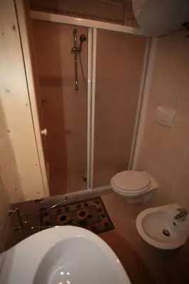 a bathroom with a shower and a toilet and a sink at Appartamenti Cercenà Deluxe in Canazei