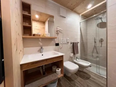 a bathroom with a sink and a toilet and a shower at Hotel Aurora in Canazei