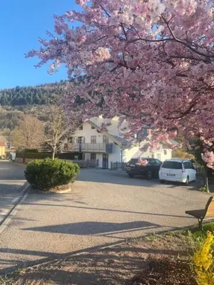 a tree with pink flowers on it in a street at Casa Fam.Barbolini in Tesero