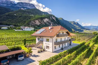 a house in a vineyard with mountains in the background at Haus Stolz in Appiano sulla Strada del Vino