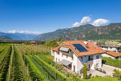 a house with solar panels on its roof in a vineyard at Haus Stolz in Appiano sulla Strada del Vino