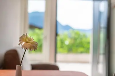 a flower in a vase on top of a table at Haus Stolz in Appiano sulla Strada del Vino