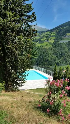 a swimming pool on a hill with flowers at Pension Weinberg in Rifiano
