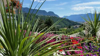 a garden of flowers with mountains in the background at Pension Weinberg in Rifiano