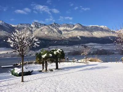 a snowy field with trees and mountains in the background at Pension Irma in Caldaro