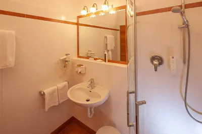 a bathroom with a sink and a shower and a toilet at Ansitz Waldner Oberwirt in Marlengo