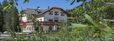 a snow covered mountain with a tree in the foreground at Alpin Natur Hotel Brückele in Braies