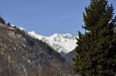 a snow covered mountain with a tree in the foreground at Garni Schwarzenstein in Campo Tures