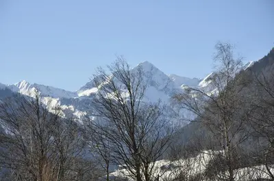 a group of trees with mountains in the background at Garni Schwarzenstein in Campo Tures