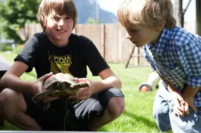 two young boys holding a turtle in their hands at Engadiner Apartments & Wines in Montagna