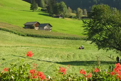 a tractor in a field in a green pasture at Spisserhof in Chiusa