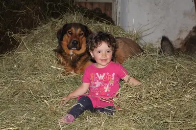 a little girl sitting in hay next to a dog at Spisserhof in Chiusa